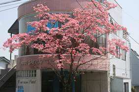 �јC�R���̎��Ȉ�